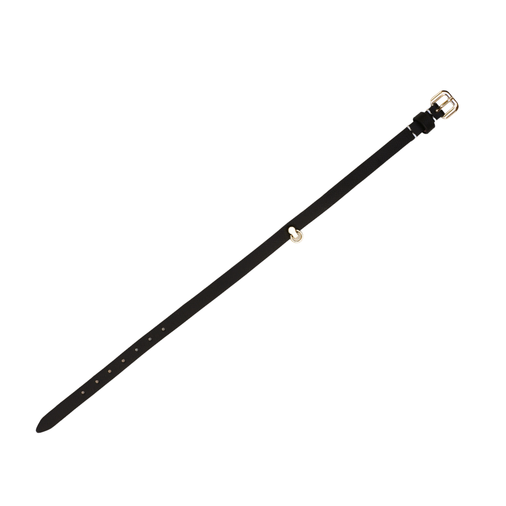 COLLAR NARROW SMALL LINK BLACK - Club X