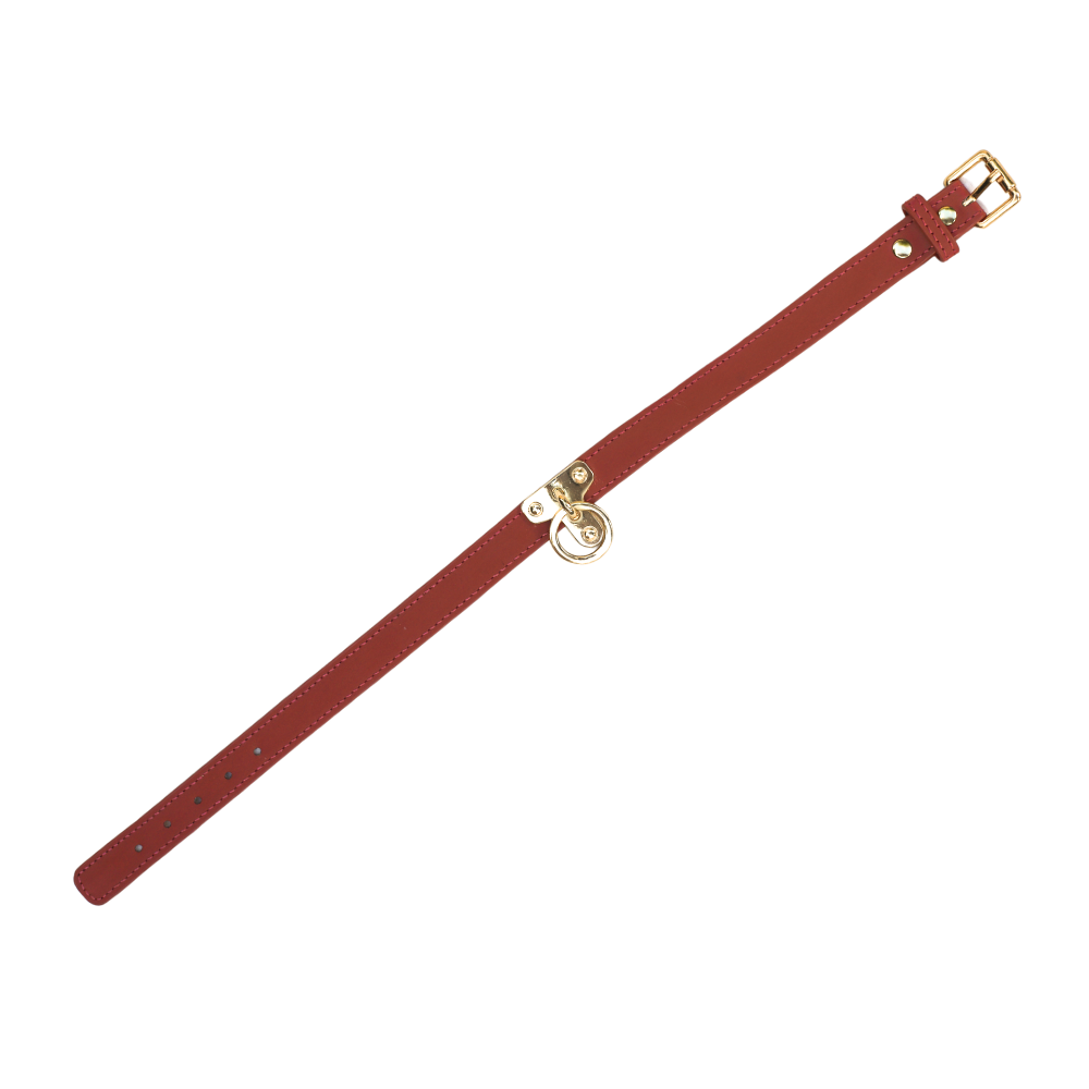 COLLAR - RED - Club X