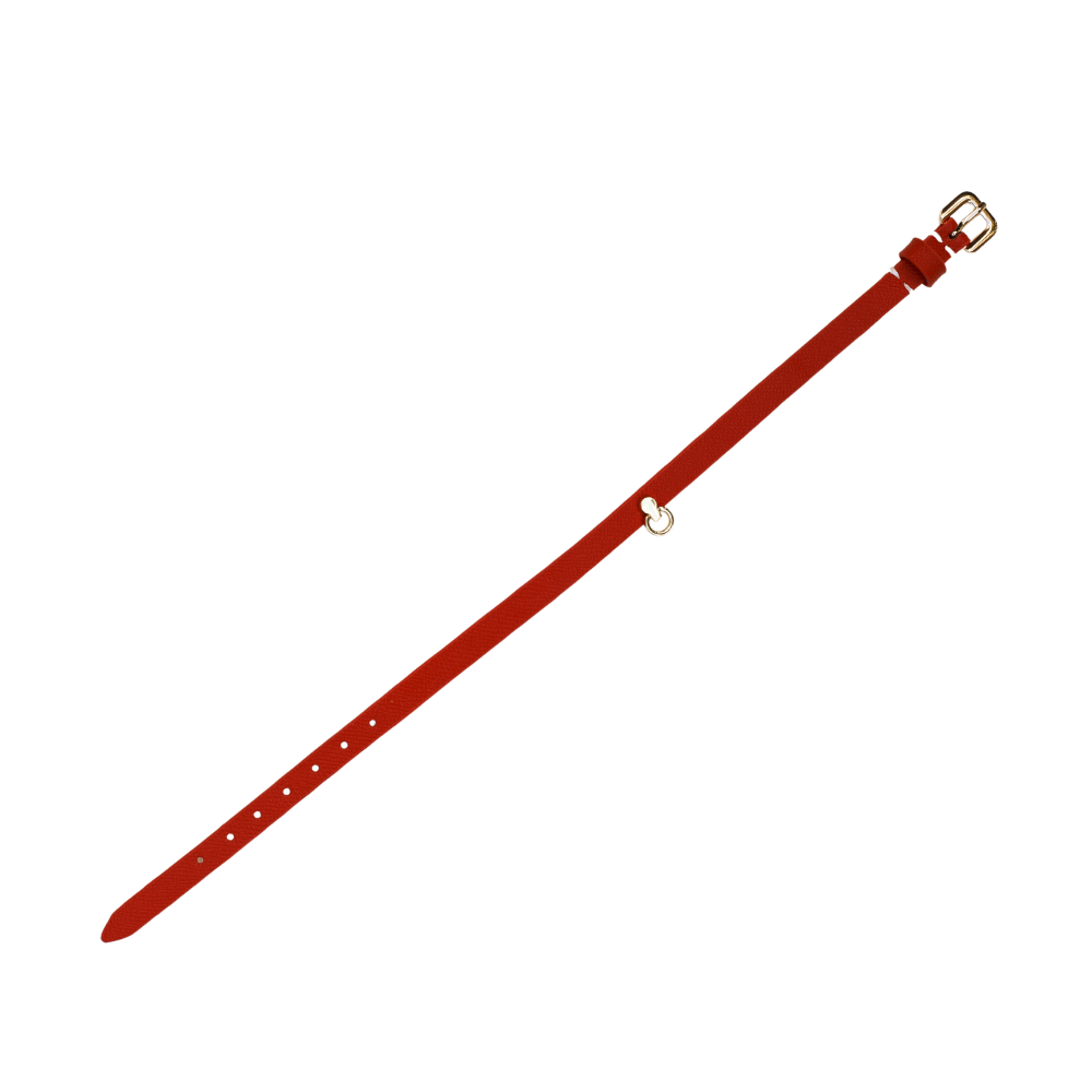 COLLAR NARROW SMALL LINK RED - Club X