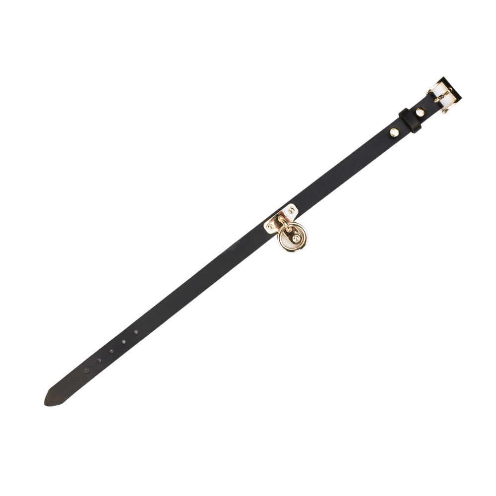 COLLAR LARGE LINK  - Club X